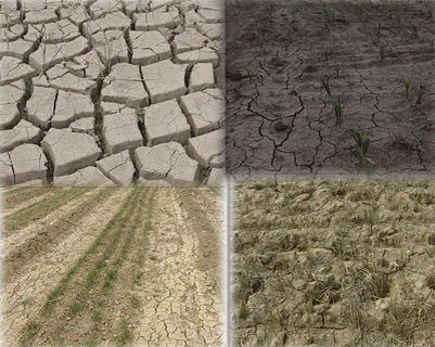 世界气象组织称中国北方干旱与拉尼娜现象相关