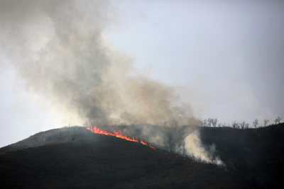 河北双龙山大火疑儿童放烟花引起 过火710余亩