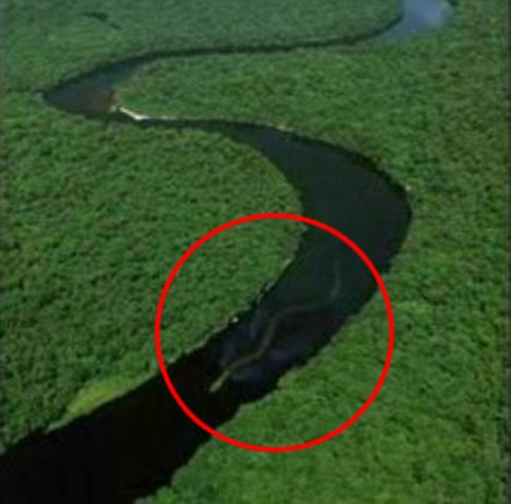 马来西亚神秘巨蛇nabau 长达百英尺