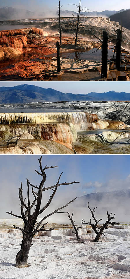http://photocdn.sohu.com/20090225/Img262455292.jpg