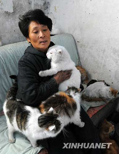 天津退休教师杨晓云从10多年前开始救助流浪猫狗,目前她收养的流浪猫