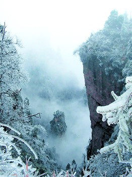 昨日，世界自然遗产武陵源风景名胜区天子山景区同现雾凇、冰挂、云海的罕见奇观。    邓道理　胡少丛　摄影报道