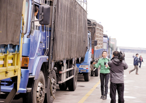 王小丫看到凤铝物流配送中心排队等了几天来装货的货车长龙，惊叹不已。