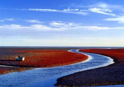 盘锦湿地当选"中国最美湿地公园"