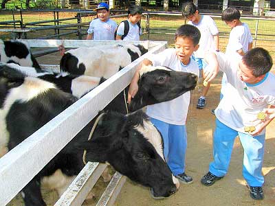 桃园埔心牧场 跑马露营亲子游