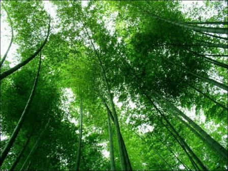 自由自在看风景 成都自驾游线路推荐