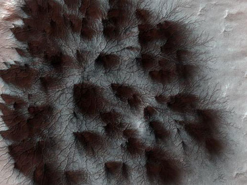 美国探测器拍到奇特火星地形 酷似蜘蛛(图)-搜
