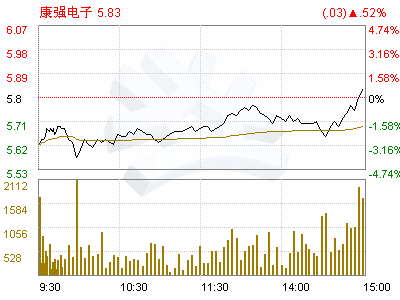 康强电子(002119)宁波电子信息集团有限公司简