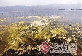 云南阳宗海砷污染事件追踪:样本是否有效存争议
