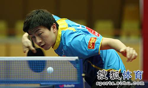 Img263482150.jpg
