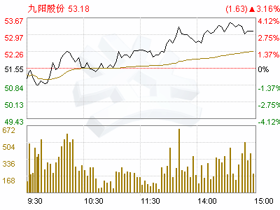 九阳股份(002242)2008年度分红派息、转增股