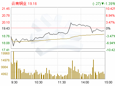 云南铜业(000878)第四届董事会第二十一次会议