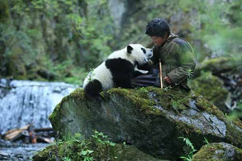 《熊猫回家路》剧照