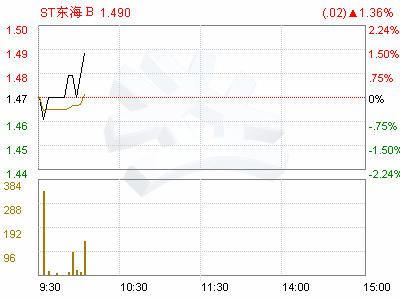 ST东海A(000613)董事会提名委员会工作细则(