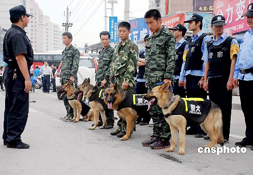 浙江乐清身价万元警犬投入治安管理(组图)