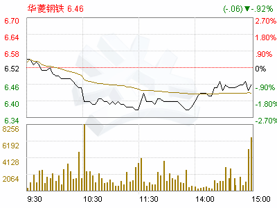 华菱钢铁(000932)2008年度权益分派实施公告