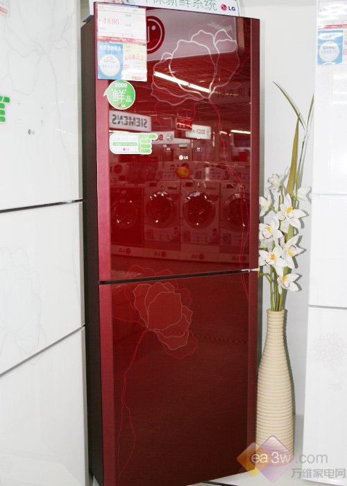 汇聚超人气 LG新款冰箱卖场受关注