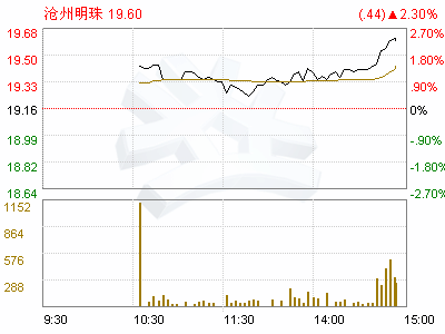 沧州明珠(002108)2008年度利润分配及资本公