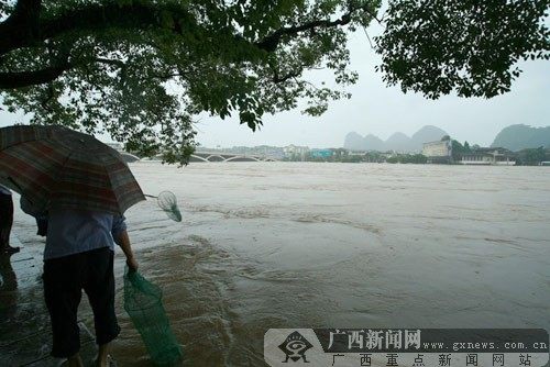 广西洪水暴涨 桂林市区部分街道被浸泡(组图)