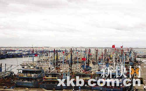 8月8日中午,300多艘渔船在福建晋江市深沪中