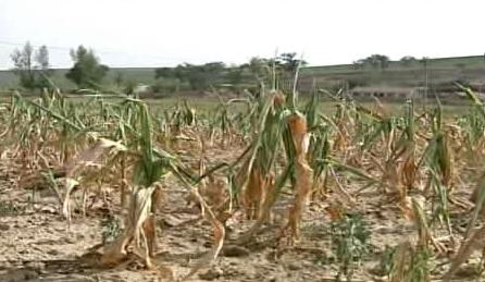 南北方旱情蔓延 农业部再派5个工作组指导抗旱