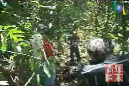 巴西"死亡直播"涉嫌犯罪 主持人称是政治陷害