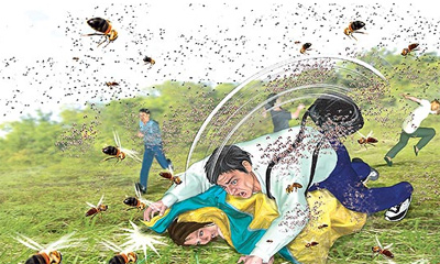 台湾虎头蜂群袭击游客 陈文龙肉身挡千蜂护女