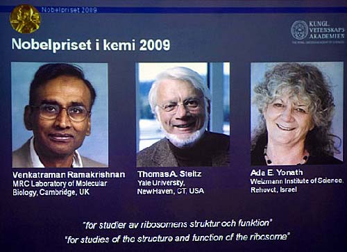 英美以三位科学家获得2009年诺贝尔化学奖