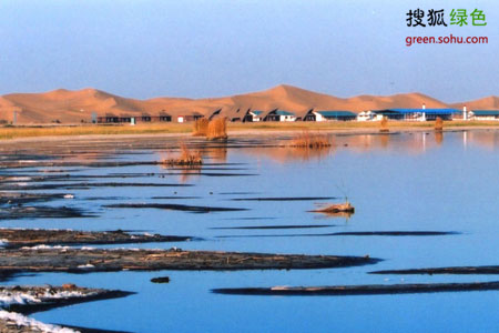 内蒙古杭锦旗库布其沙漠腹地七星湖沙漠生态景区