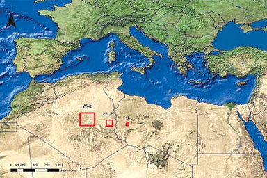 中东北非地区太阳能发展前景广阔(组图)图片