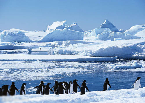 六万元南极旅游 资深玩家晒费用清单