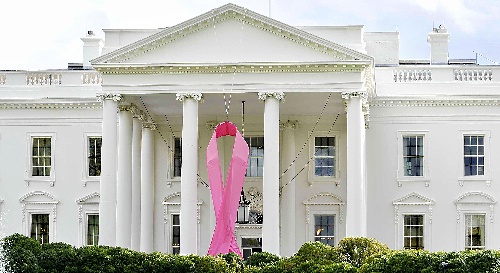 图文:美国白宫悬挂粉红丝带 呼吁关注乳腺癌