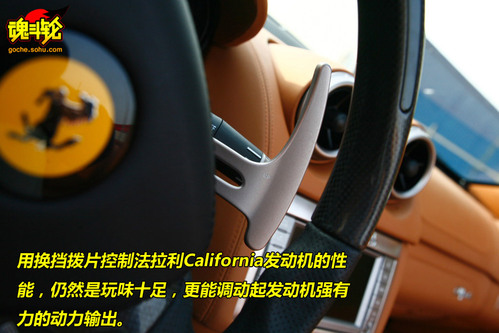  California ʵ ͼ ͼƬ