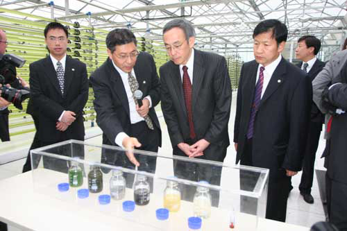 朱棣文参观新奥集团微藻制备生物柴油技术的藻种培养室