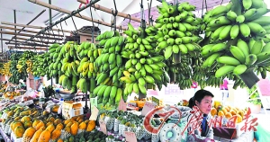 广州肉菜价格:香蕉烂市平过大白菜(图)