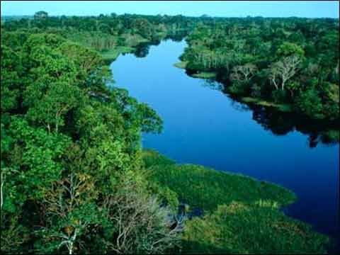 亚马逊旅游指南