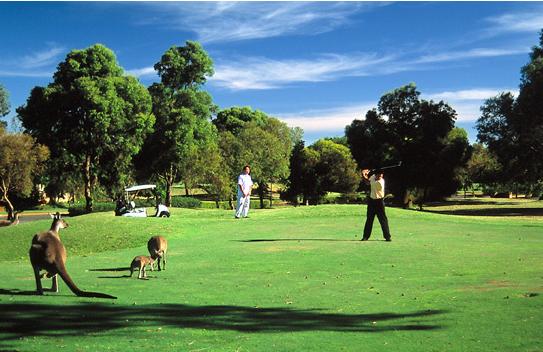 冬季高尔夫度假最新行程推荐 赴澳洲享高球之