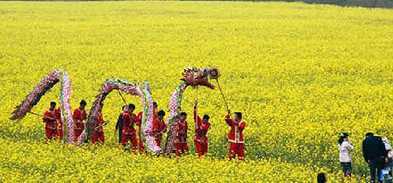 贵州油菜花旅游节