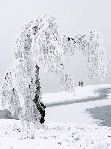 组图:寒流暴雪肆虐欧洲