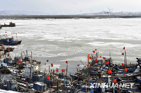 1月12日,停泊在莱州湾海庙港的百余艘渔船受冻被困.