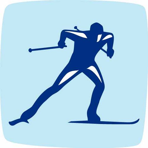 2010年温哥华冬奥会越野滑雪项目图标