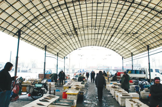 沈阳海鲜市场价格_海鲜市场价格活基围虾_家乡的海鲜市场