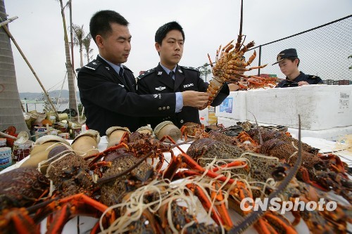 珠三角海鲜批发市场_黄骅海鲜批发市场_珠三角快递报价(2)