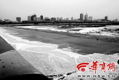 生活污水让在枯水期的渭河咸阳段泛起了白沫 记者芮潇潇摄
