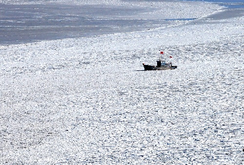 组图:大连黄渤海海冰融化 形成海面浮冰