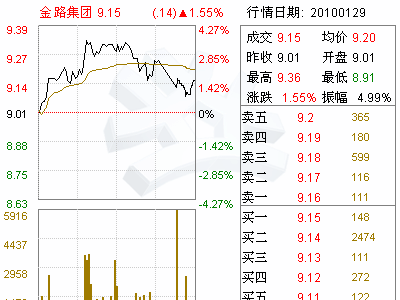 金路集团(000510)第七届第十三次董事局会议决