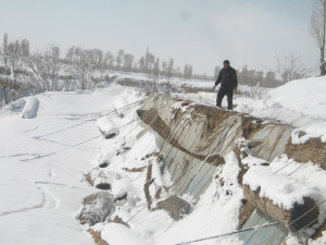 甘肃玉门遭50年不遇雪灾 致251名牧民被困(图)