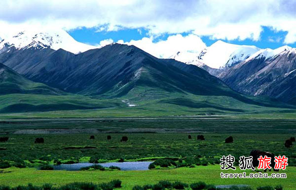 离太阳最近的人们:探秘藏北高原羌塘