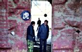 沈阳12东北虎命丧资本游戏 动物园疑办虎骨酒店