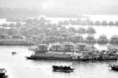 图：珠江“梗塞”130余天 滞航船舶9万艘次